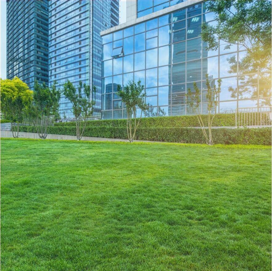 Bienvenue chez Lifento